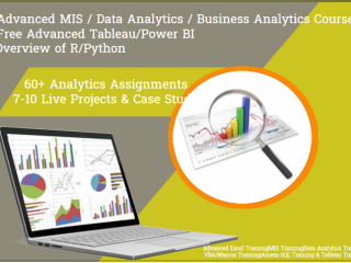 the-excel-automation-and-mis-course-complete-mis-internship-update-with-ai-skills-for-2026-by-sla-consultants-noida