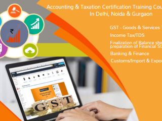 accounting-course-after-12th-or-graduation-in-delhi-online-gst-and-custom-certification-in-delhi-100-job-guarantee-course-by-sla-consultants